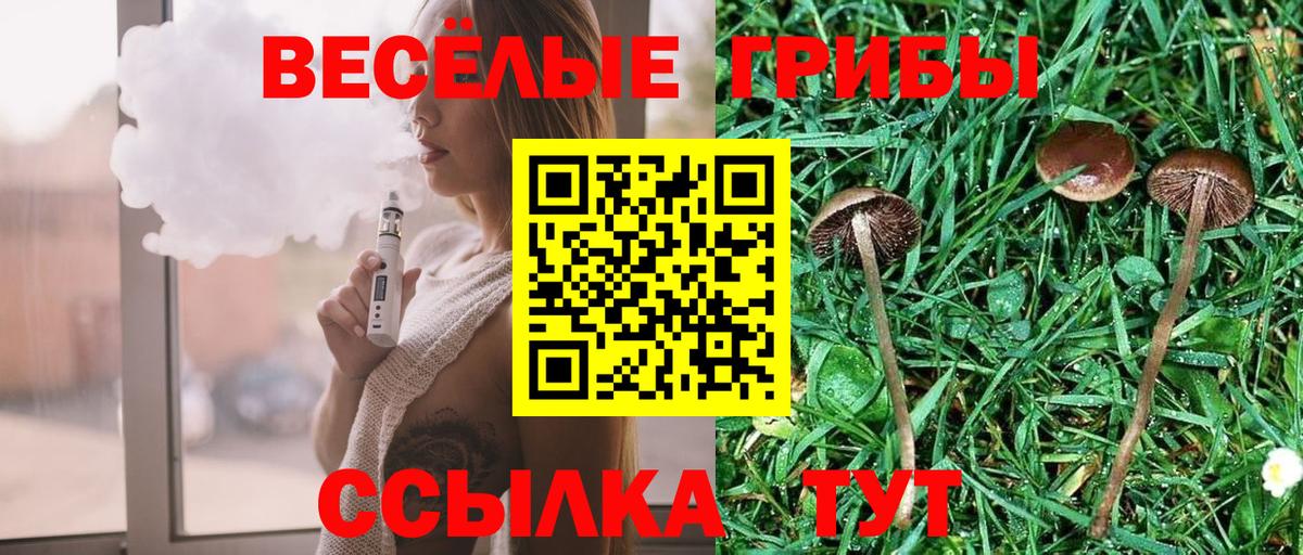 Псилоцибиновые грибы Cubensis  Вход с VPN  Амурск 